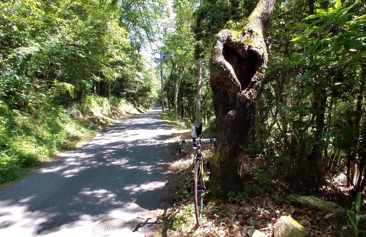 f:id:hirobees:20200607175931j:plain