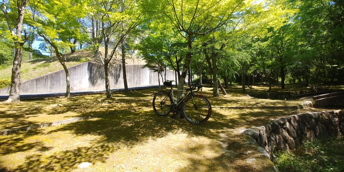 f:id:hirobees:20200607180305j:plain