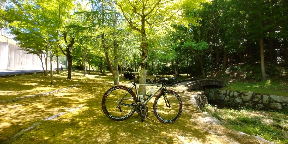 f:id:hirobees:20200607180339j:plain