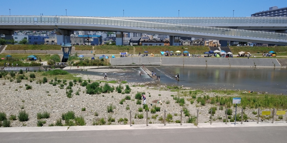 f:id:hirobees:20200607180500j:plain