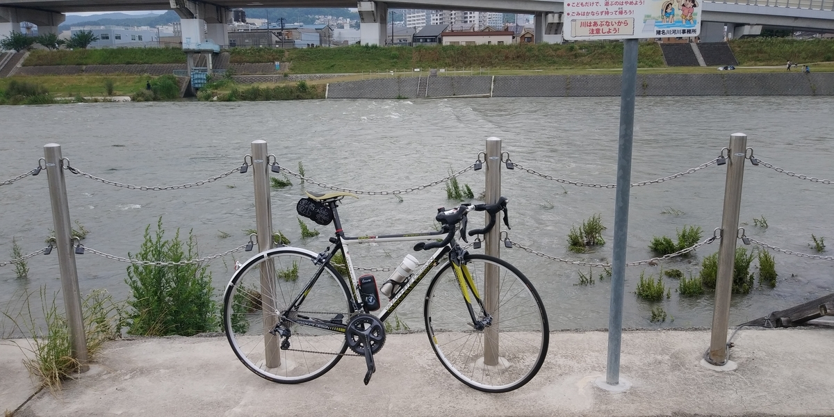 f:id:hirobees:20200614200900j:plain f:id:hirobees:20200614200900j:plain