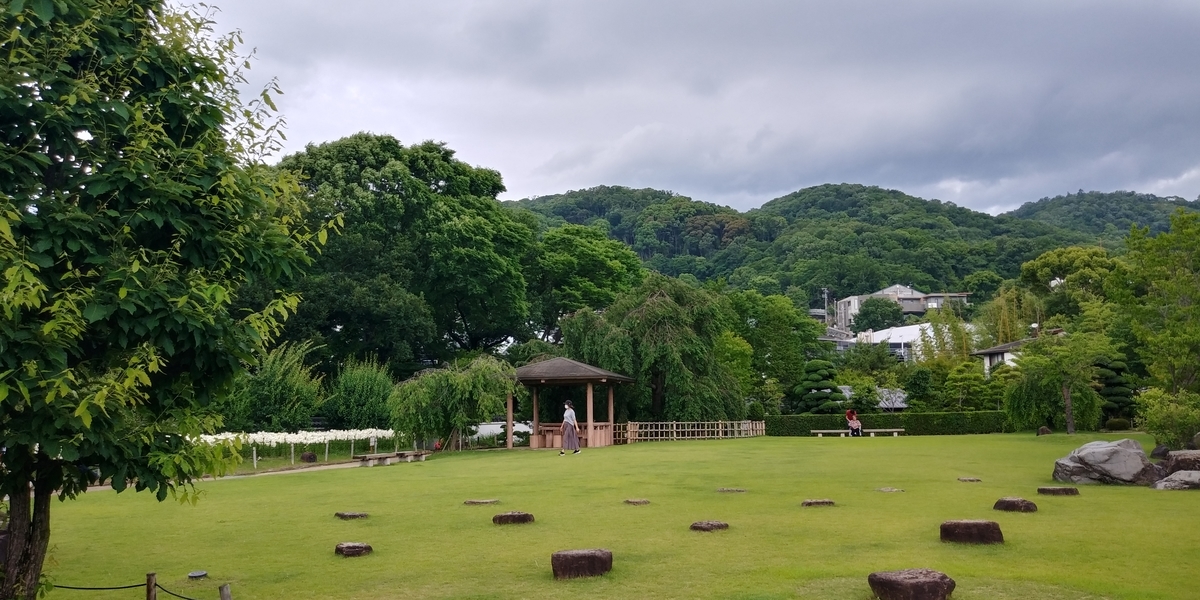 f:id:hirobees:20200614204459j:plain f:id:hirobees:20200614204459j:plain