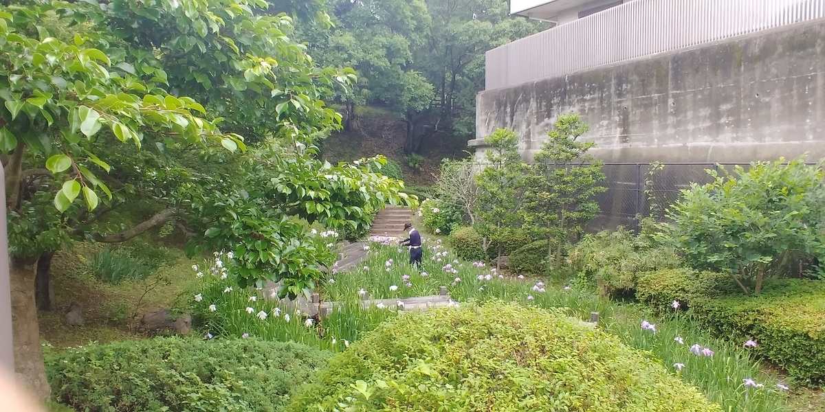 f:id:hirobees:20200614204615j:plain f:id:hirobees:20200614204615j:plain