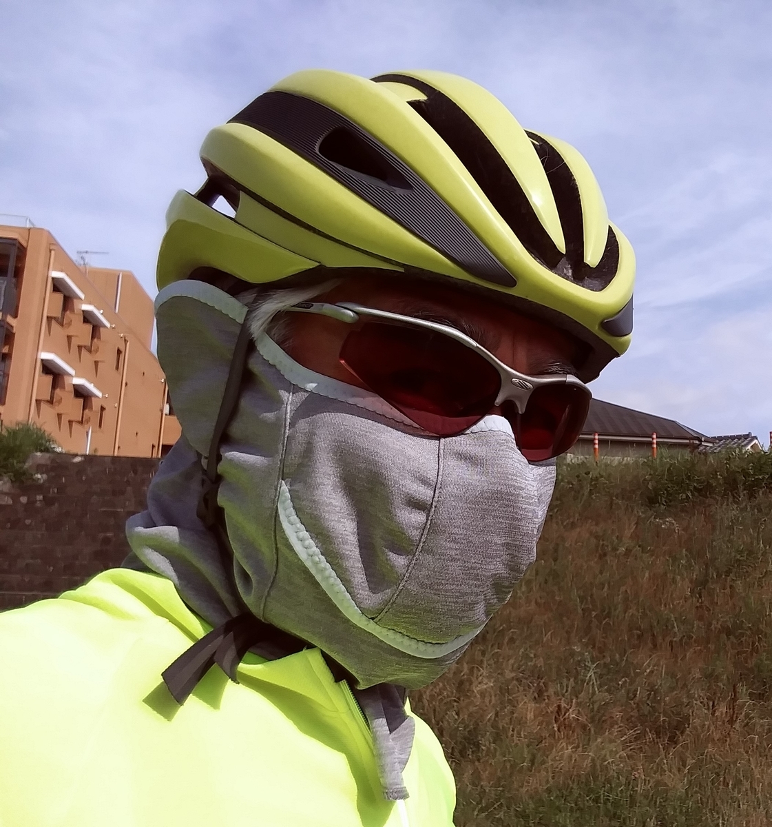 f:id:hirobees:20200628231851j:plain f:id:hirobees:20200628231851j:plain