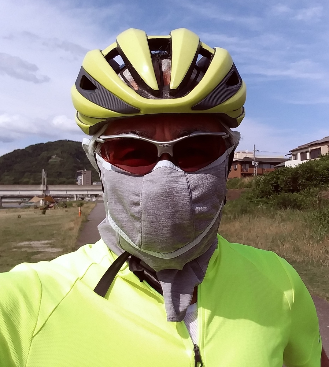 f:id:hirobees:20200628232320j:plain f:id:hirobees:20200628232320j:plain