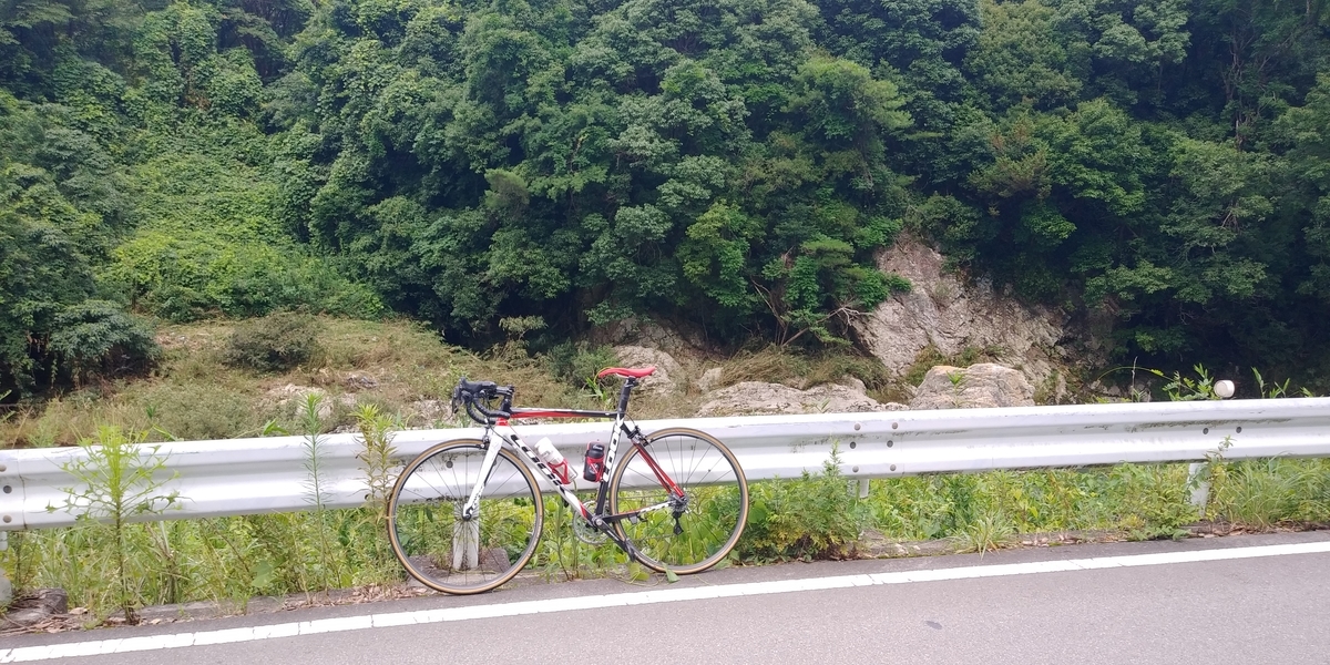 f:id:hirobees:20200723220355j:plain f:id:hirobees:20200723220355j:plain