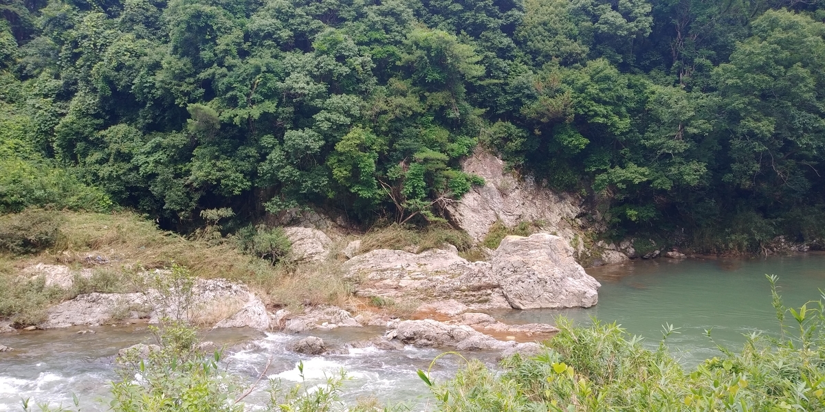 f:id:hirobees:20200723220801j:plain f:id:hirobees:20200723220801j:plain