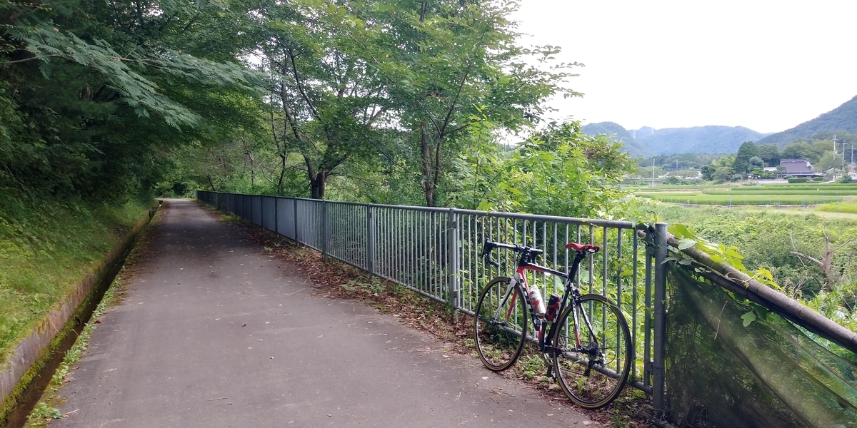 f:id:hirobees:20200723221027j:plain f:id:hirobees:20200723221027j:plain