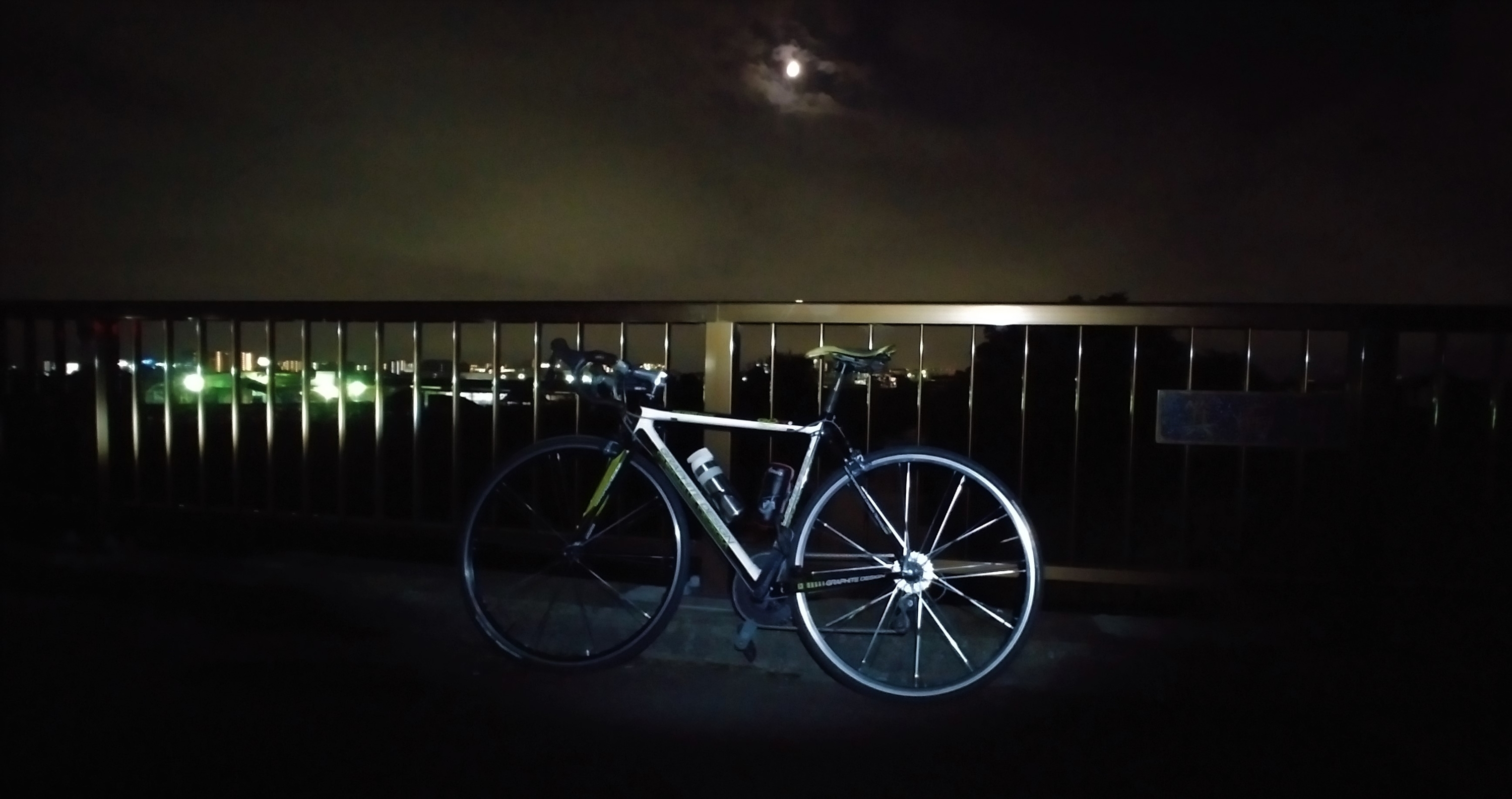 f:id:hirobees:20200730000639j:plain f:id:hirobees:20200730000639j:plain