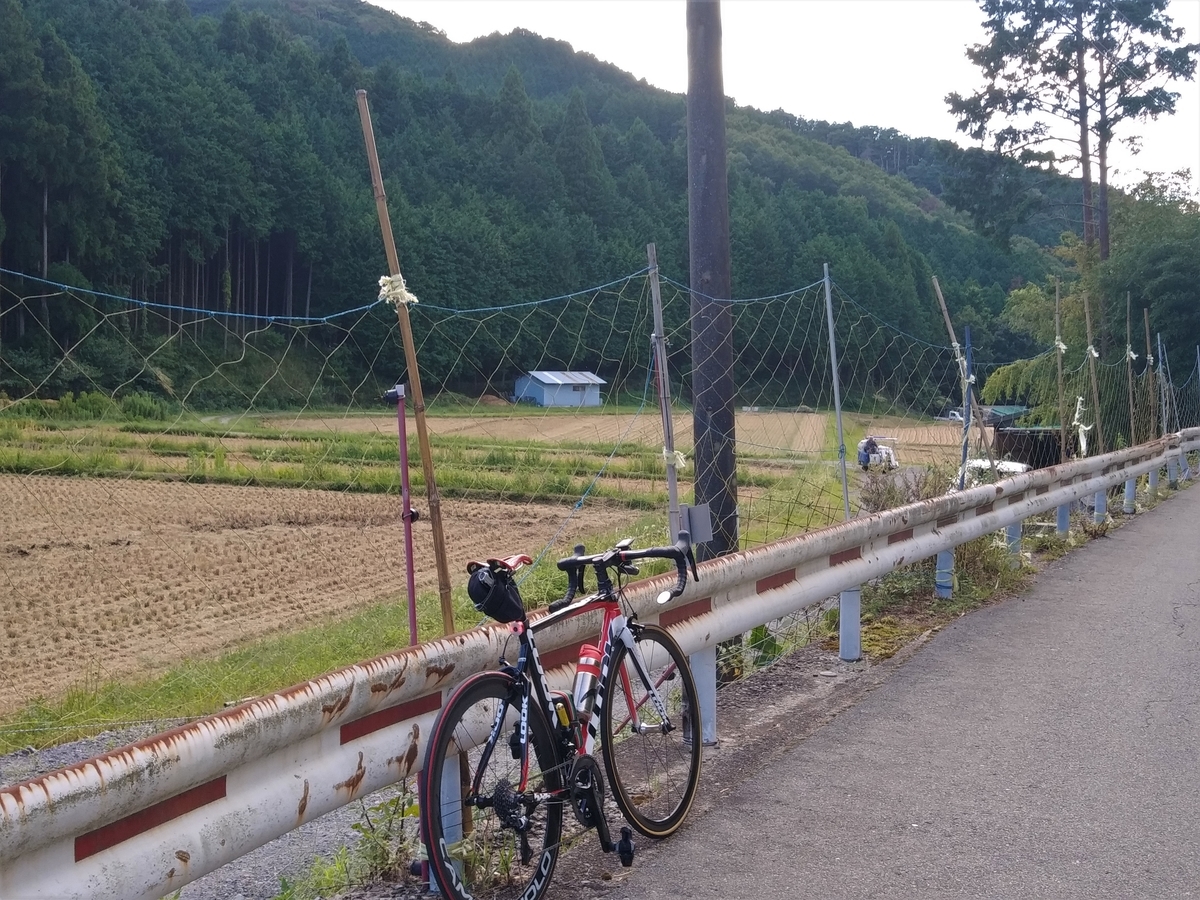 f:id:hirobees:20200915172104j:plain f:id:hirobees:20200915172104j:plain