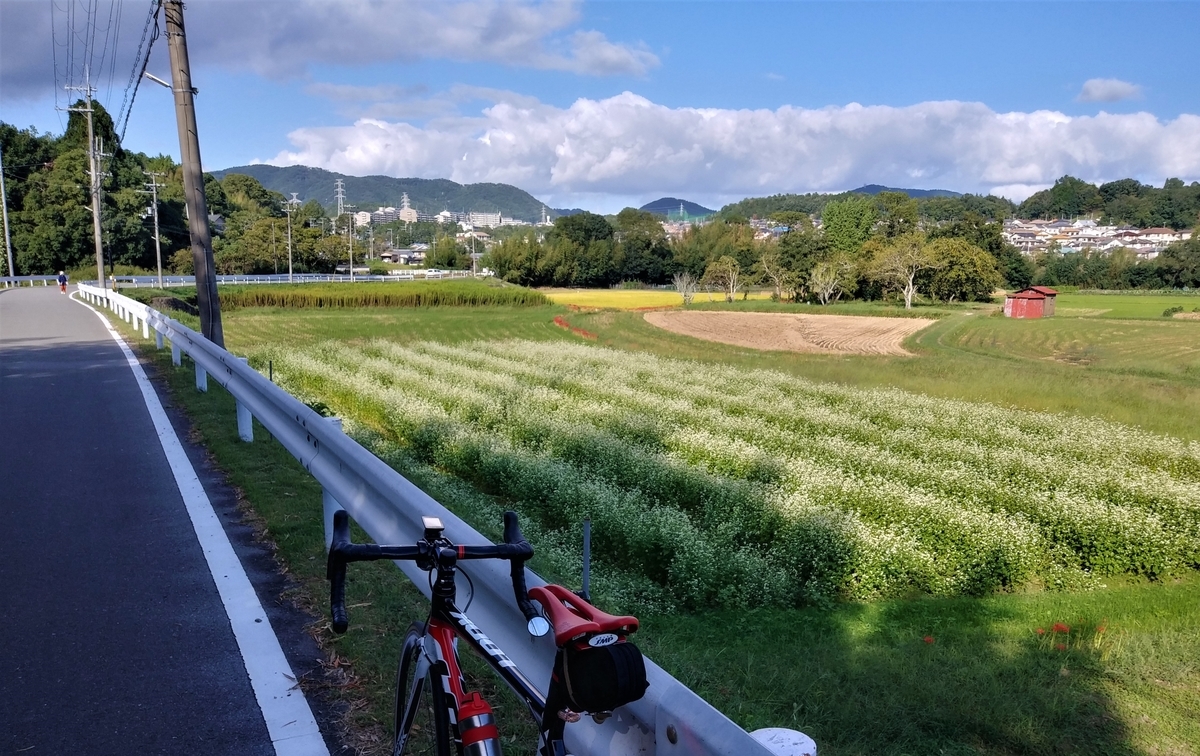 f:id:hirobees:20200929113350j:plain f:id:hirobees:20200929113350j:plain