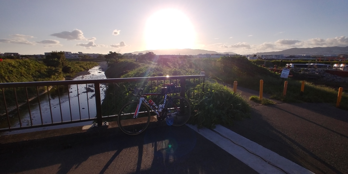 f:id:hirobees:20200929115445j:plain f:id:hirobees:20200929115445j:plain