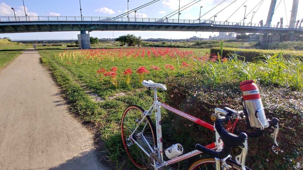 f:id:hirobees:20201001202047j:plain