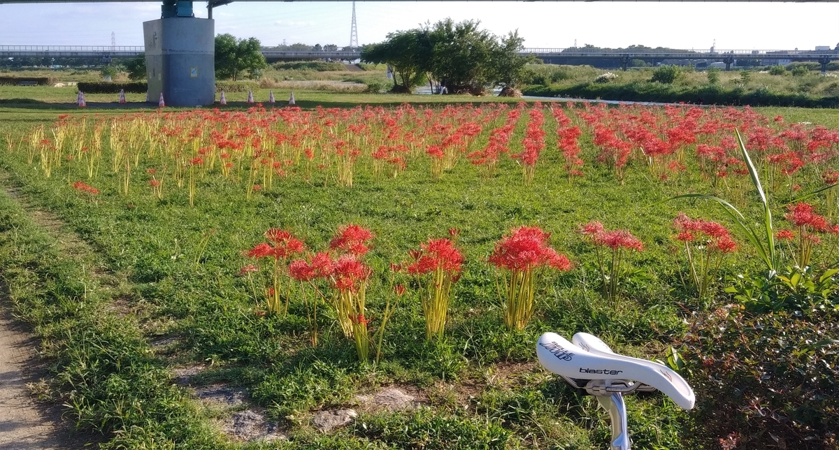 f:id:hirobees:20201001202309j:plain