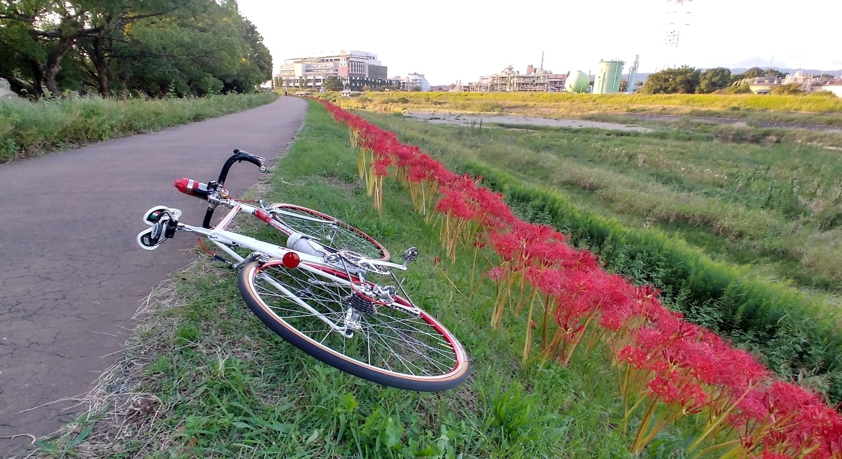 f:id:hirobees:20201001205746j:plain