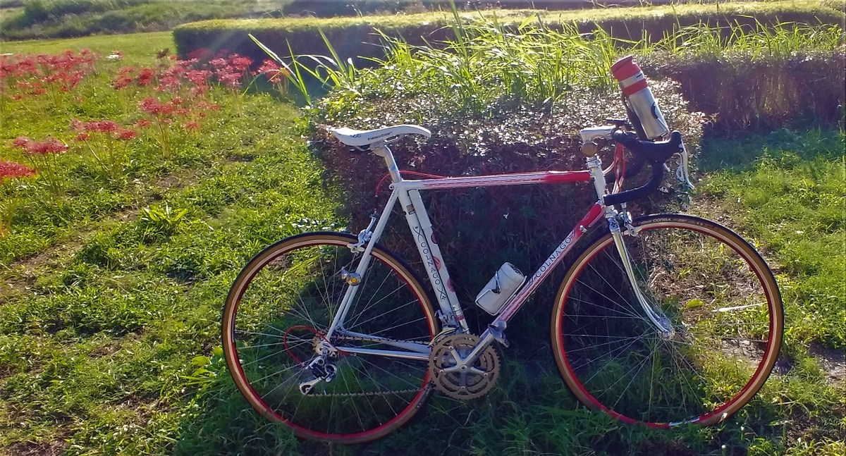 f:id:hirobees:20201001210334j:plain