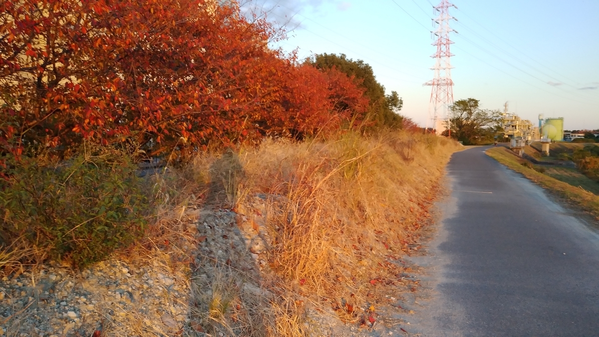 f:id:hirobees:20211206174352j:plain