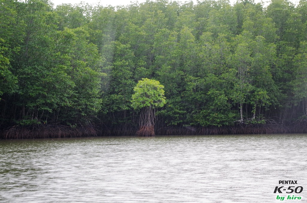 f:id:hirobkk:20170424114506j:plain f:id:hirobkk:20170424114506j:plain