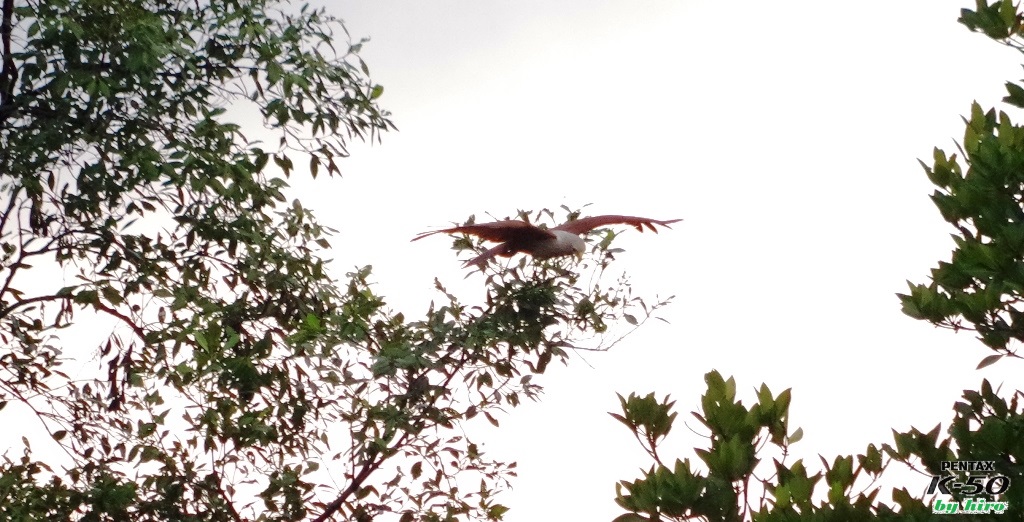 f:id:hirobkk:20170424114512j:plain f:id:hirobkk:20170424114512j:plain