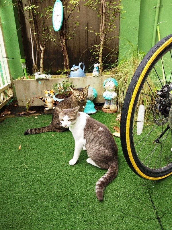 f:id:hirobkk:20180401165242j:plain