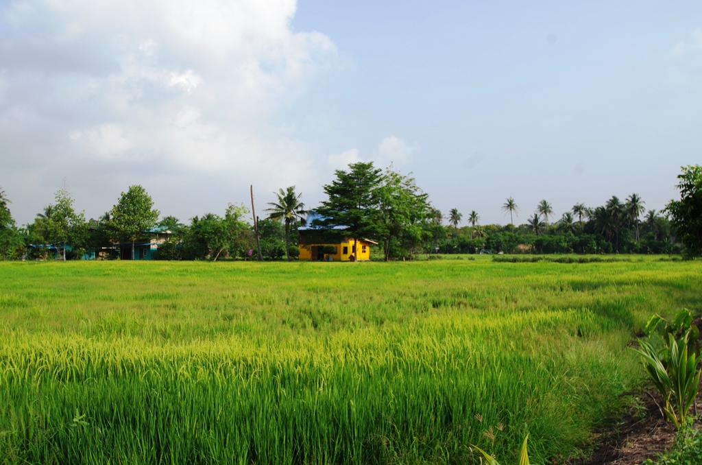 f:id:hirobkk:20180401210334j:plain