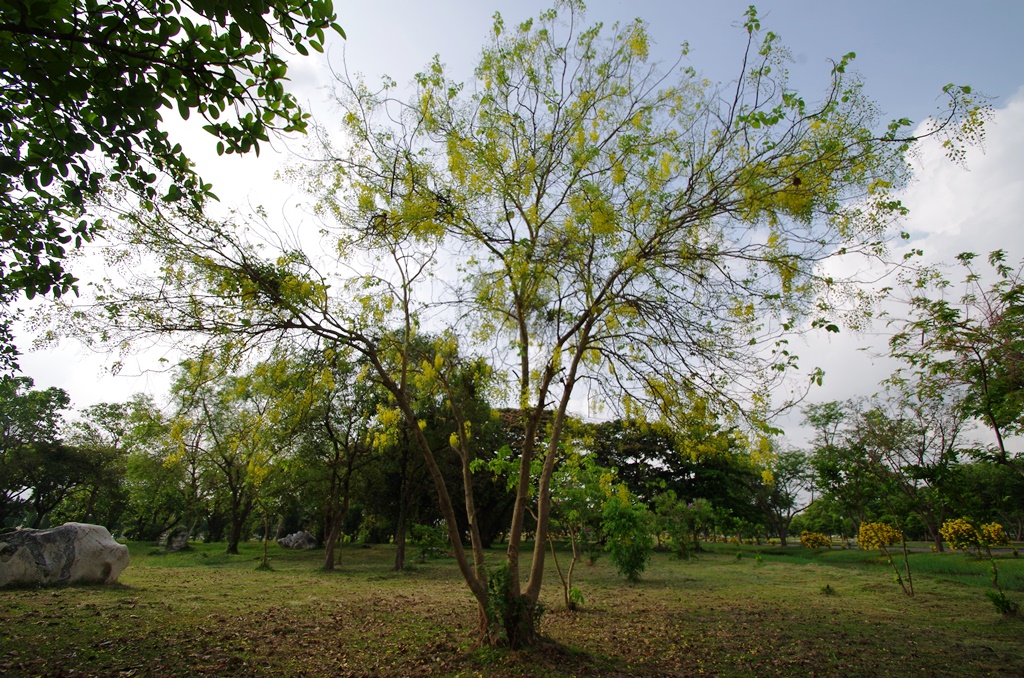 f:id:hirobkk:20180401210733j:plain