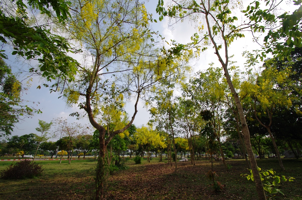 f:id:hirobkk:20180401210834j:plain