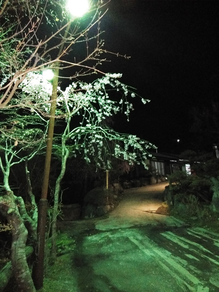 f:id:hirobkk:20180424202546j:plain f:id:hirobkk:20180424202546j:plain