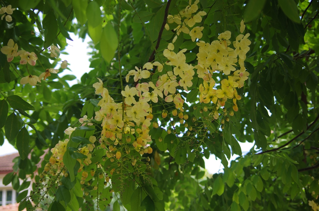 f:id:hirobkk:20180624190001j:plain f:id:hirobkk:20180624190001j:plain