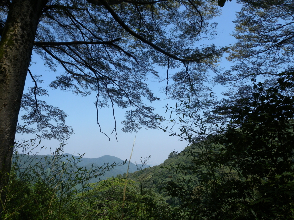 f:id:hirobkk:20180719154751j:plain f:id:hirobkk:20180719154751j:plain