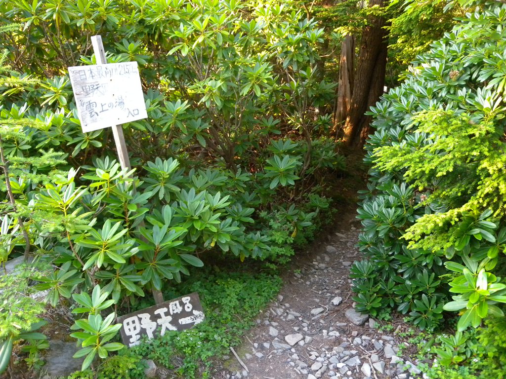 f:id:hirobkk:20180731203058j:plain