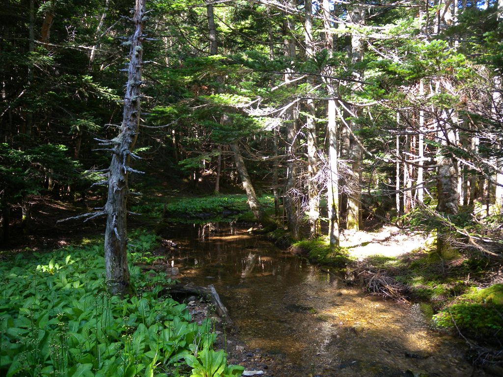 f:id:hirobkk:20180731203219j:plain