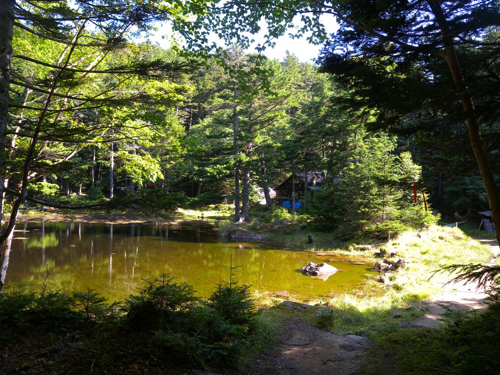 f:id:hirobkk:20180731203231j:plain