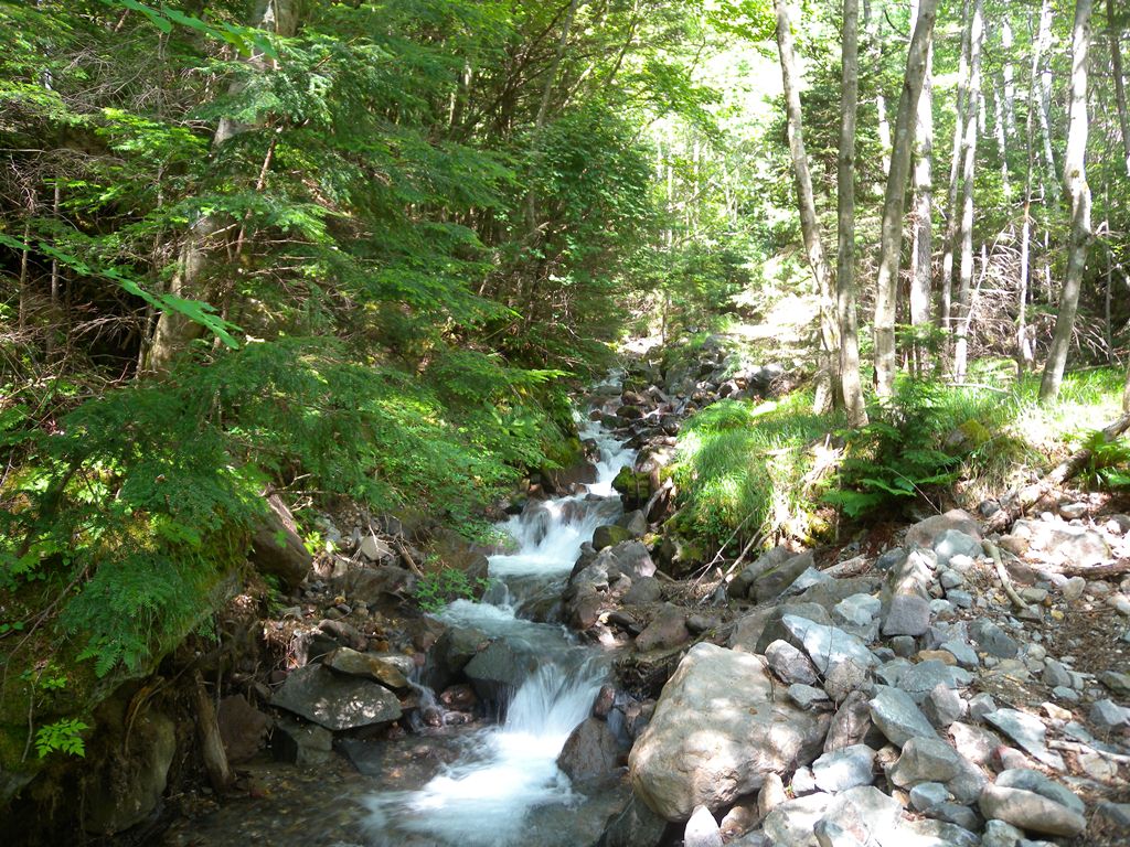 f:id:hirobkk:20180731211339j:plain