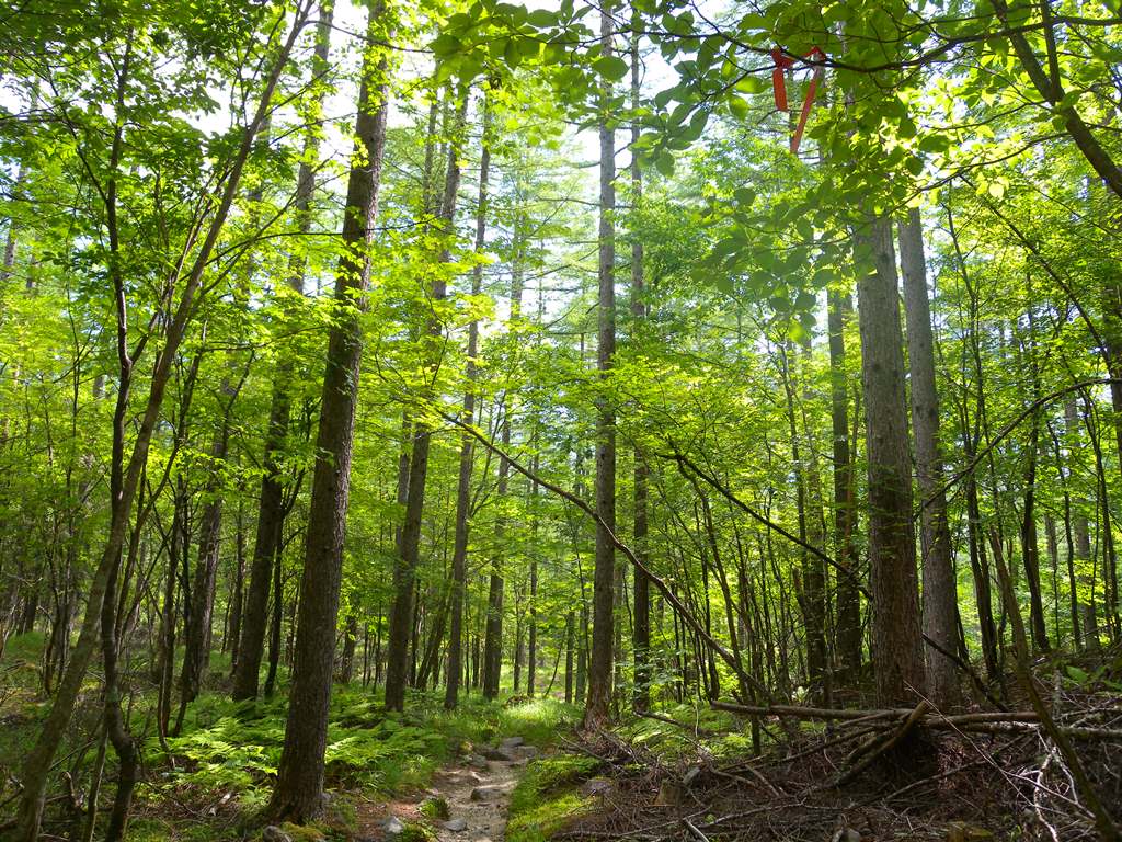 f:id:hirobkk:20180731211351j:plain