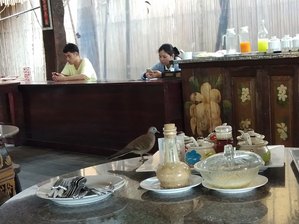 f:id:hirobkk:20180904231849j:plain f:id:hirobkk:20180904231849j:plain