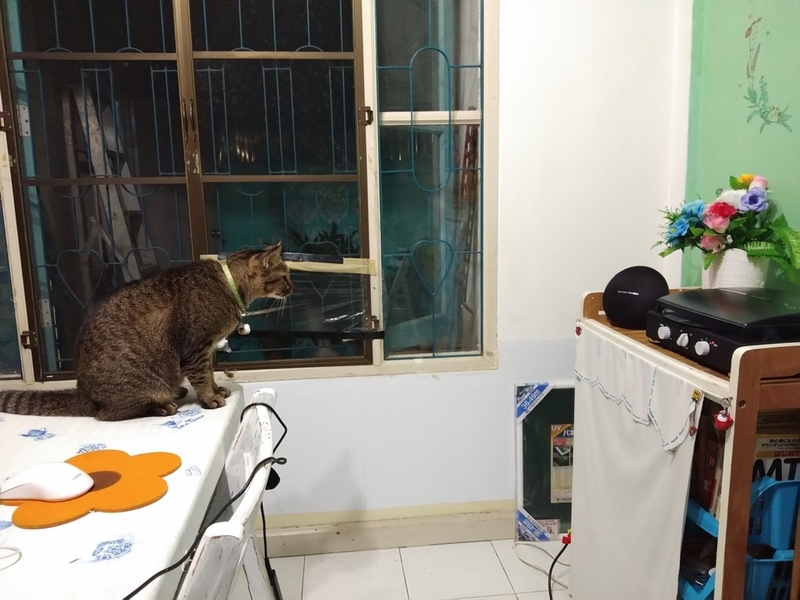 f:id:hirobkk:20190204004111j:plain f:id:hirobkk:20190204004111j:plain