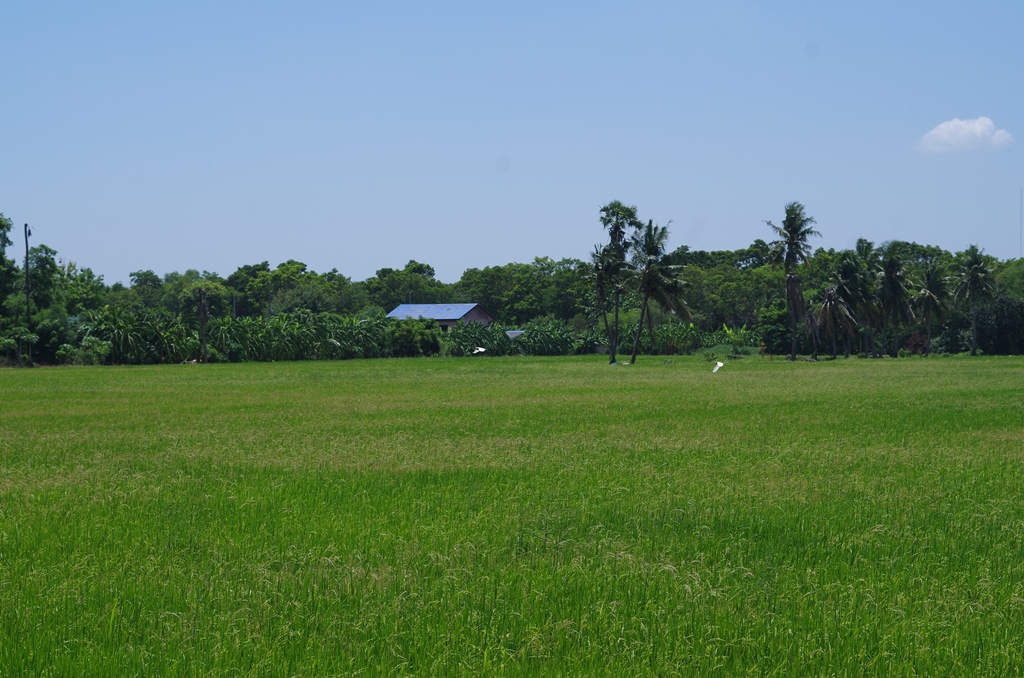 f:id:hirobkk:20190625232342j:plain f:id:hirobkk:20190625232342j:plain