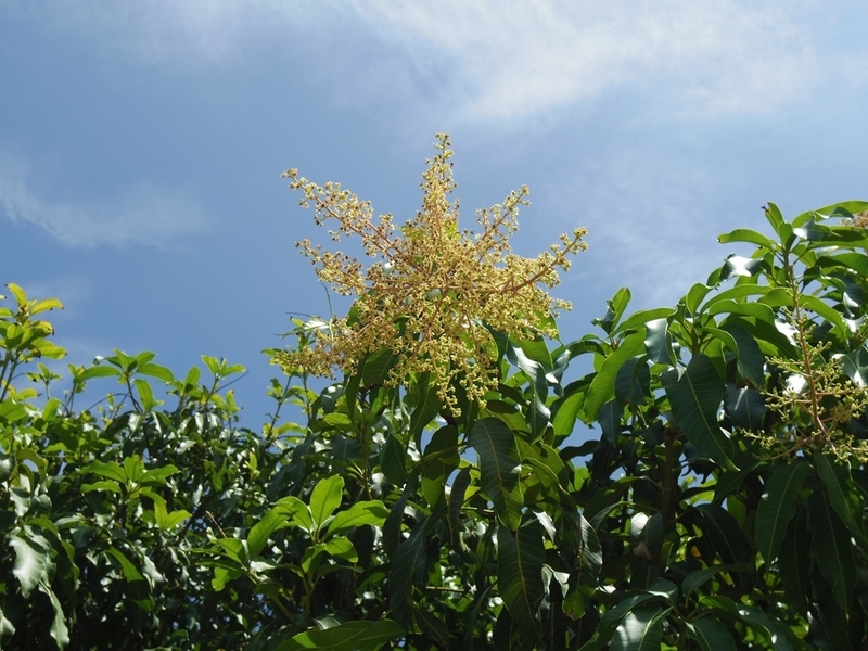f:id:hirobkk:20190707124657j:plain