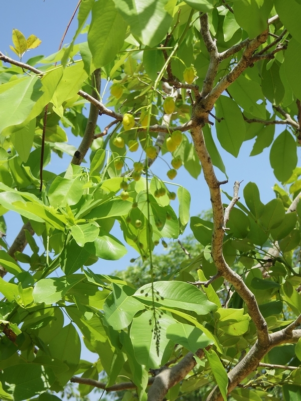 f:id:hirobkk:20190707124838j:plain