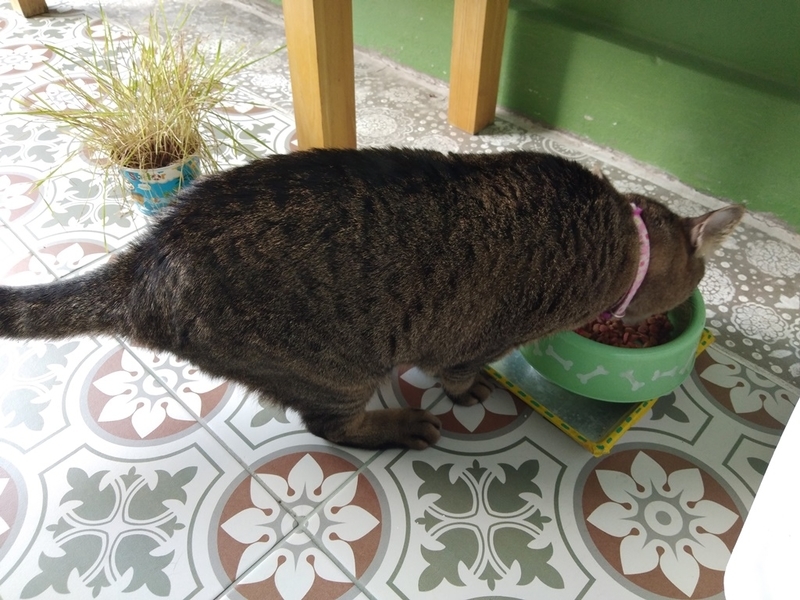 f:id:hirobkk:20200104144215j:plain