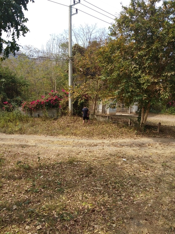 f:id:hirobkk:20200111121425j:plain