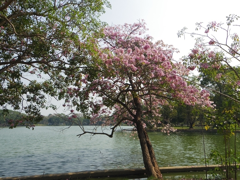 f:id:hirobkk:20200202125604j:plain f:id:hirobkk:20200202125604j:plain