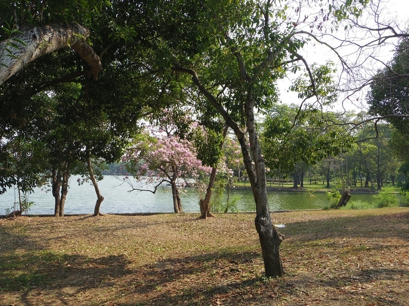 f:id:hirobkk:20200202125609j:plain f:id:hirobkk:20200202125609j:plain