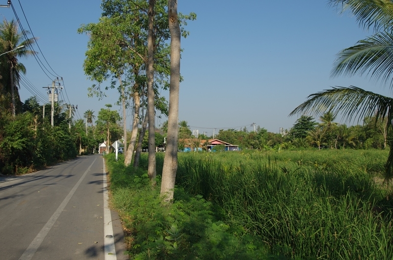 f:id:hirobkk:20200213233629j:plain