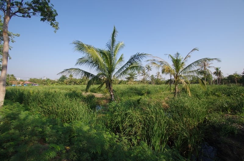 f:id:hirobkk:20200213233634j:plain