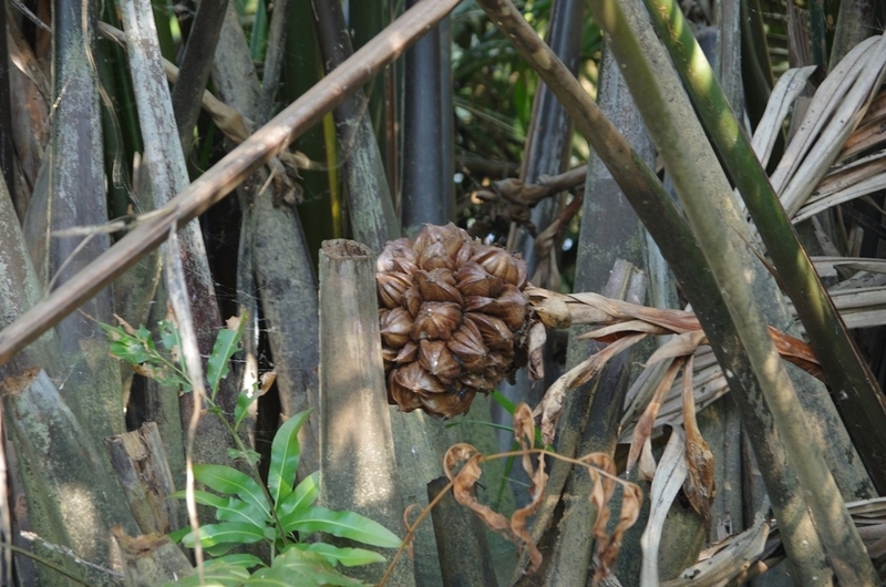 f:id:hirobkk:20200213233713j:plain