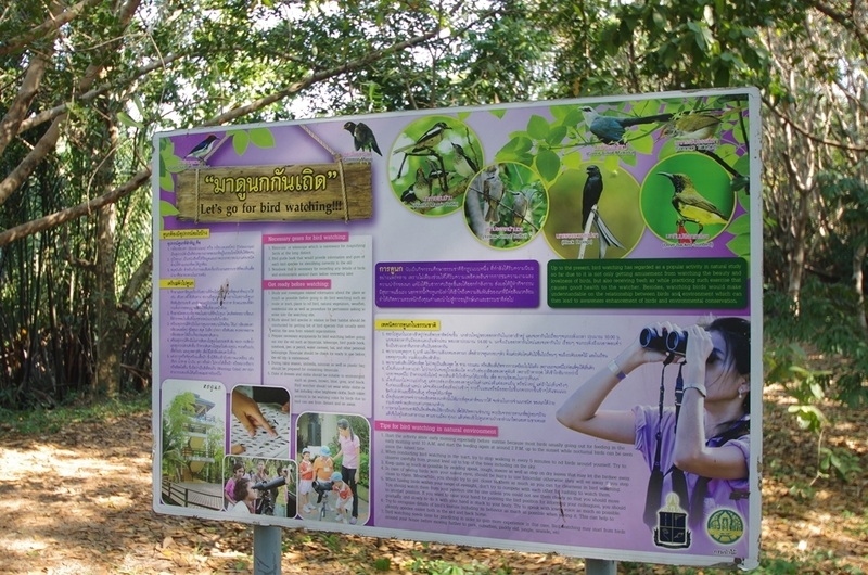 f:id:hirobkk:20200213233751j:plain