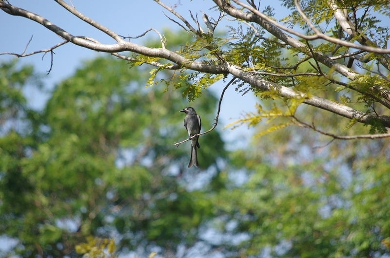 f:id:hirobkk:20200213233831j:plain