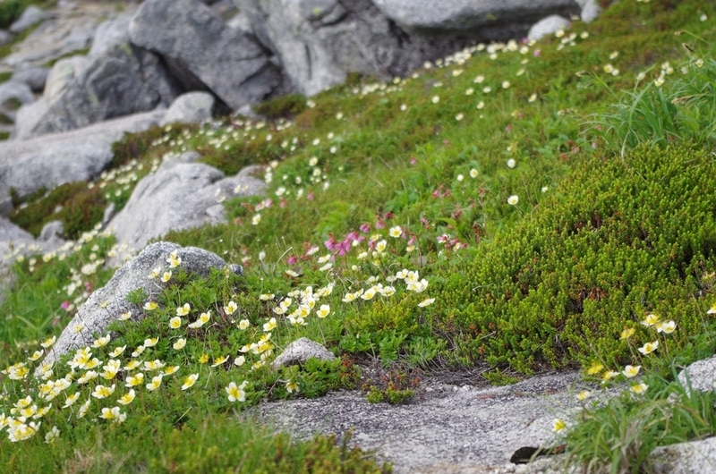 f:id:hirobkk:20200408165009j:plain